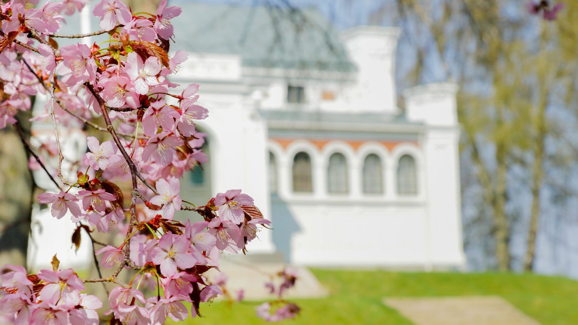 Museiparken